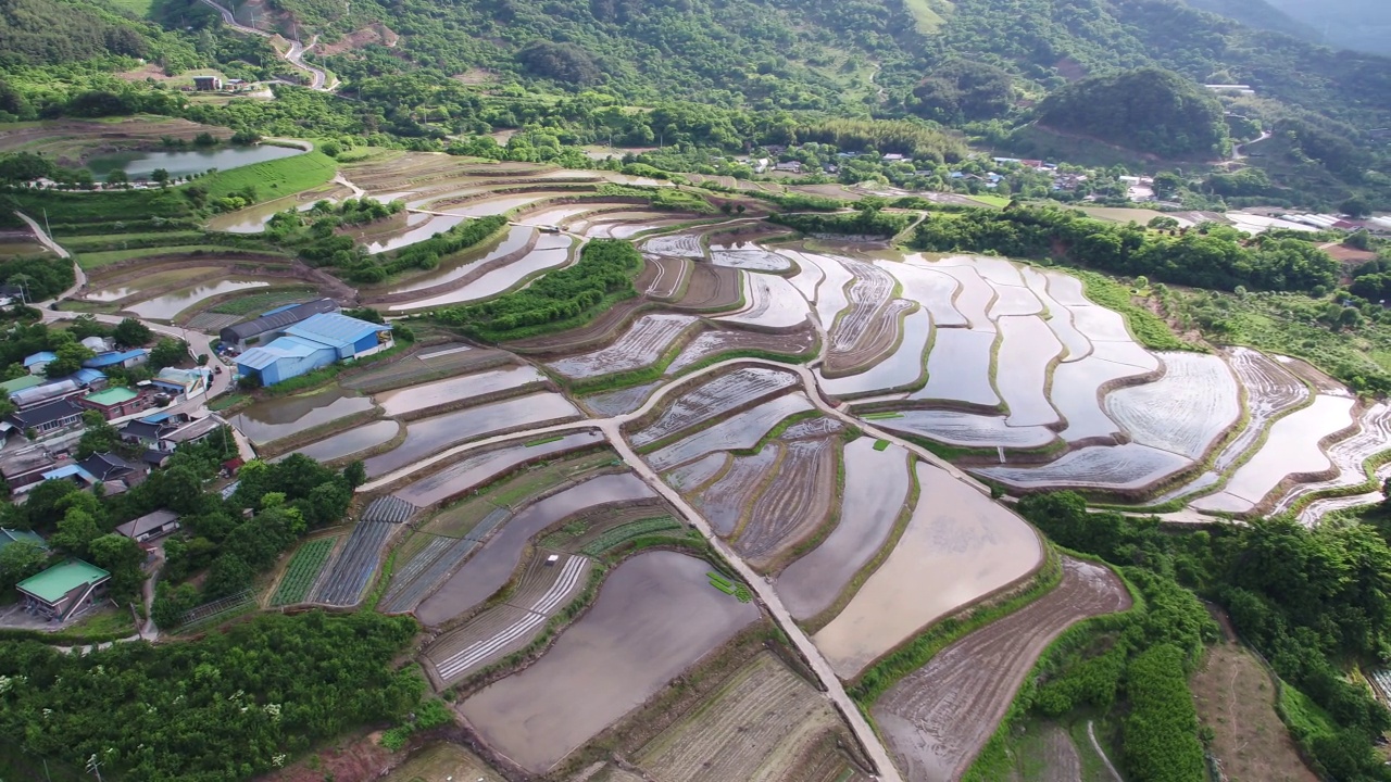 韩国全罗南道古礼郡山东郡萨波村的梯田秋景视频素材