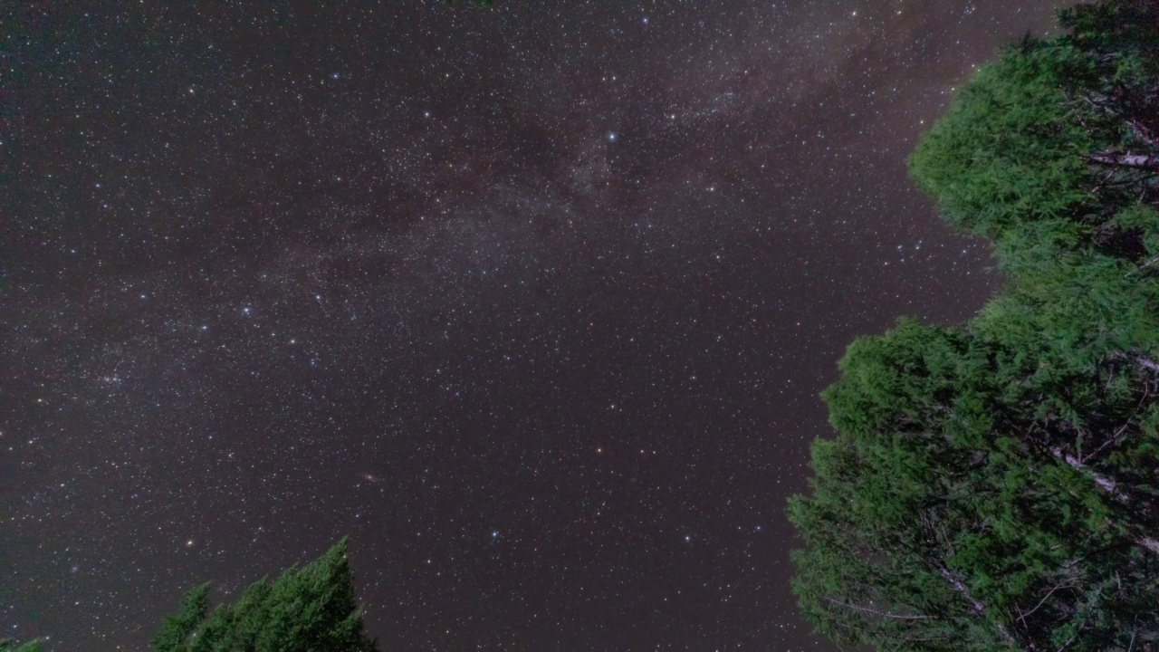 树、夜空和银河/呼伦贝尔市，内蒙古自治区，中国视频素材