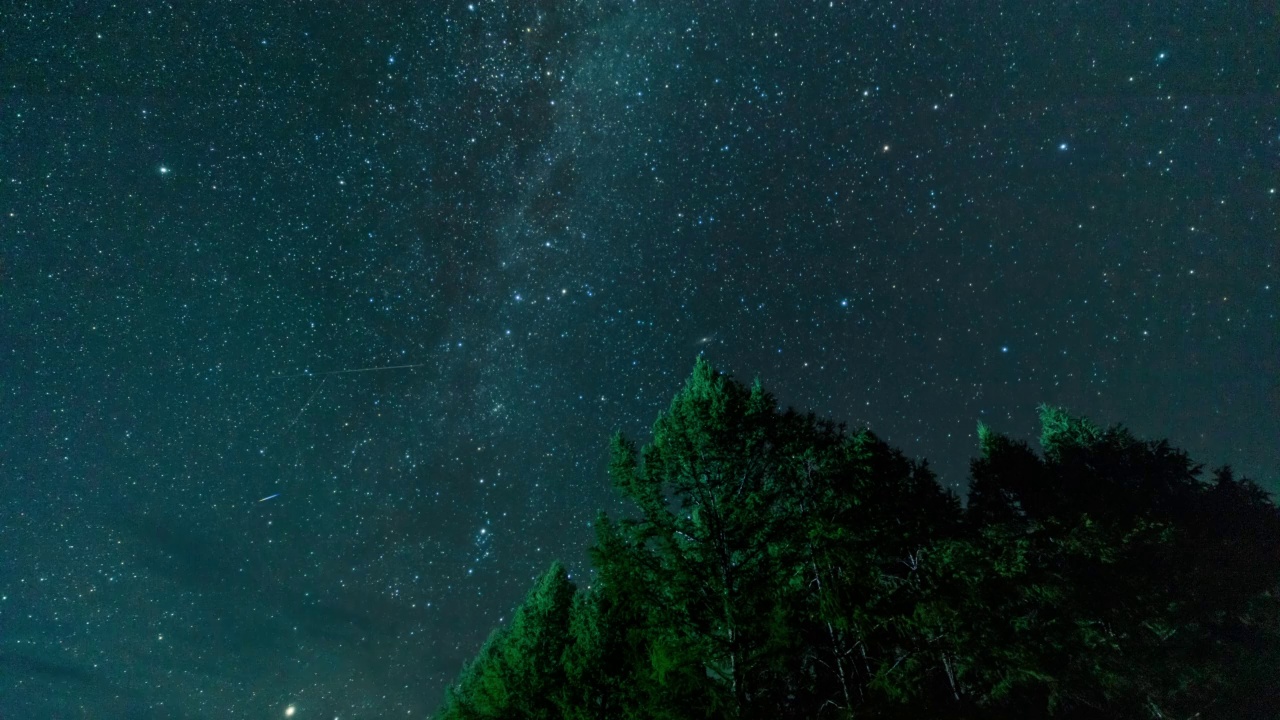 树、夜空和银河/呼伦贝尔市，内蒙古自治区，中国视频素材