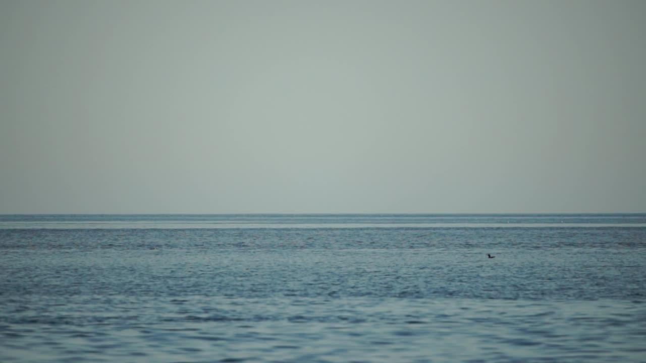 抽象海夏天海洋日落自然背景。水面上的小波浪在太阳的金色散焦光下运动模糊。假日、度假和休闲的概念。慢动作视频素材