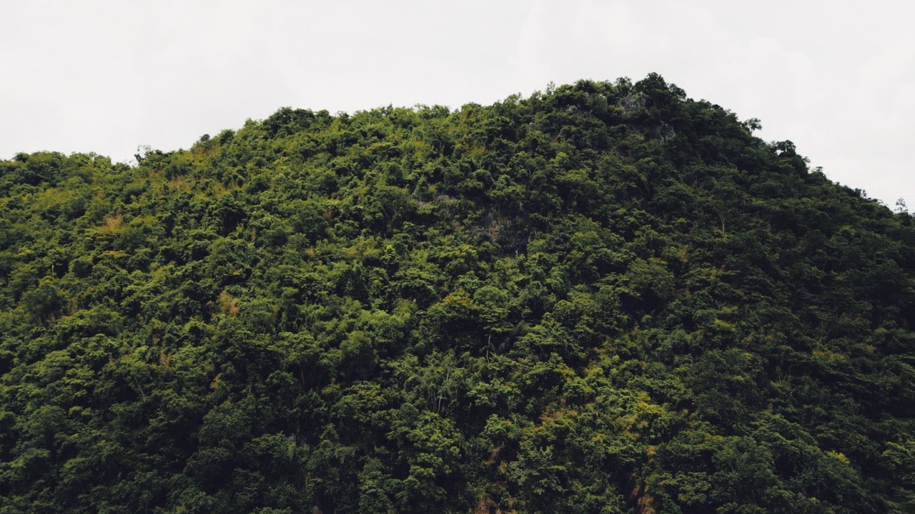 高耸在茂密的热带森林和山顶上视频素材