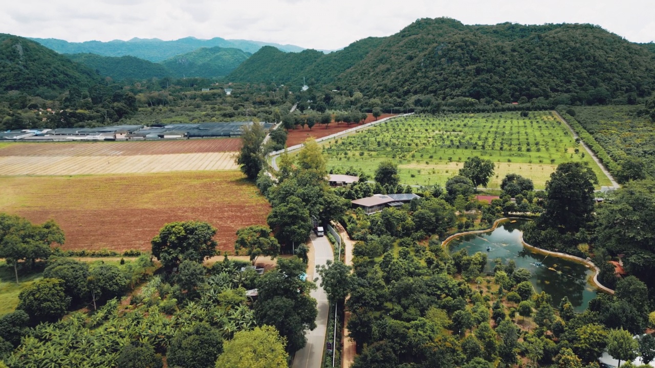 翘起空中，泰国乡间小路视频素材