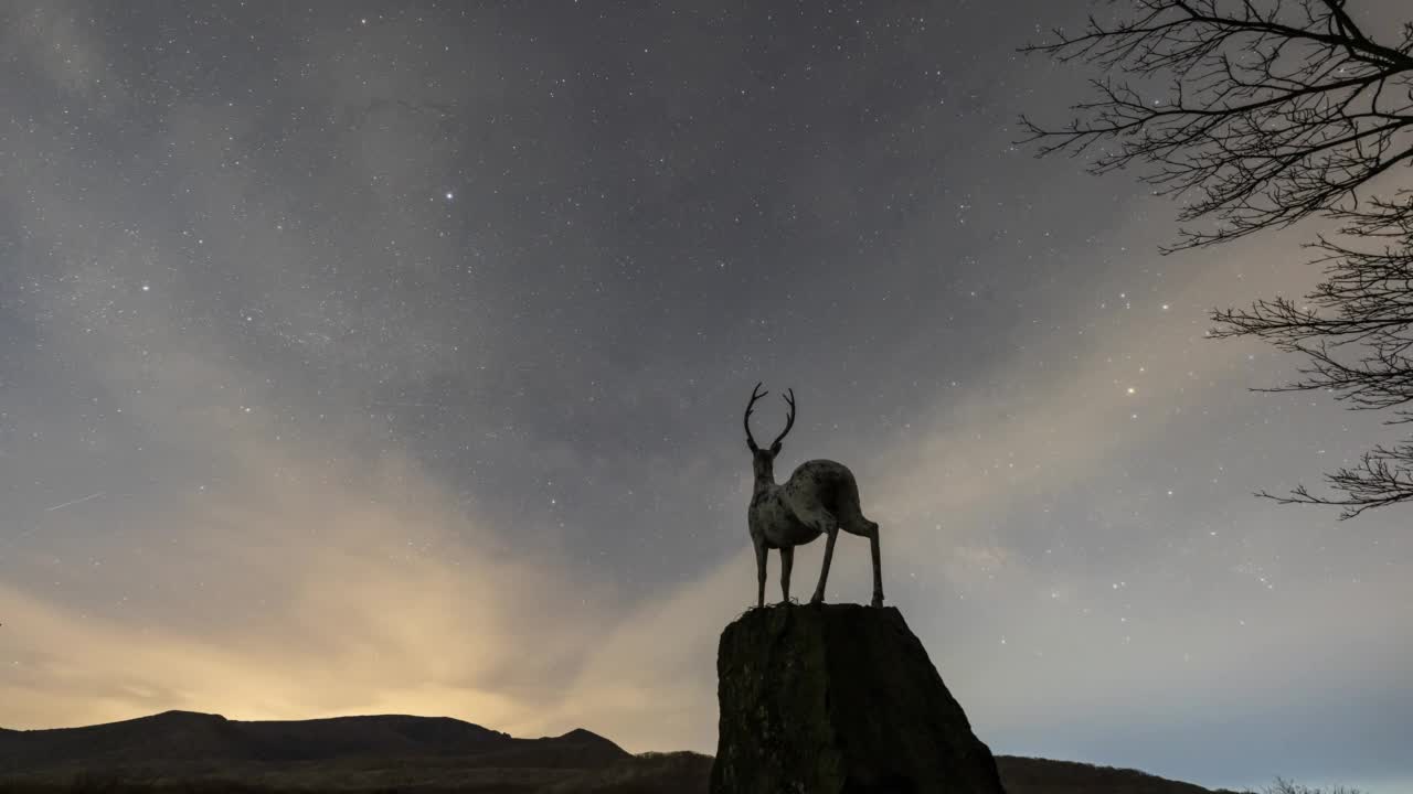 Hallasan山，1100米的休息区，夜空中的鹿和星系雕像/济州，韩国视频素材