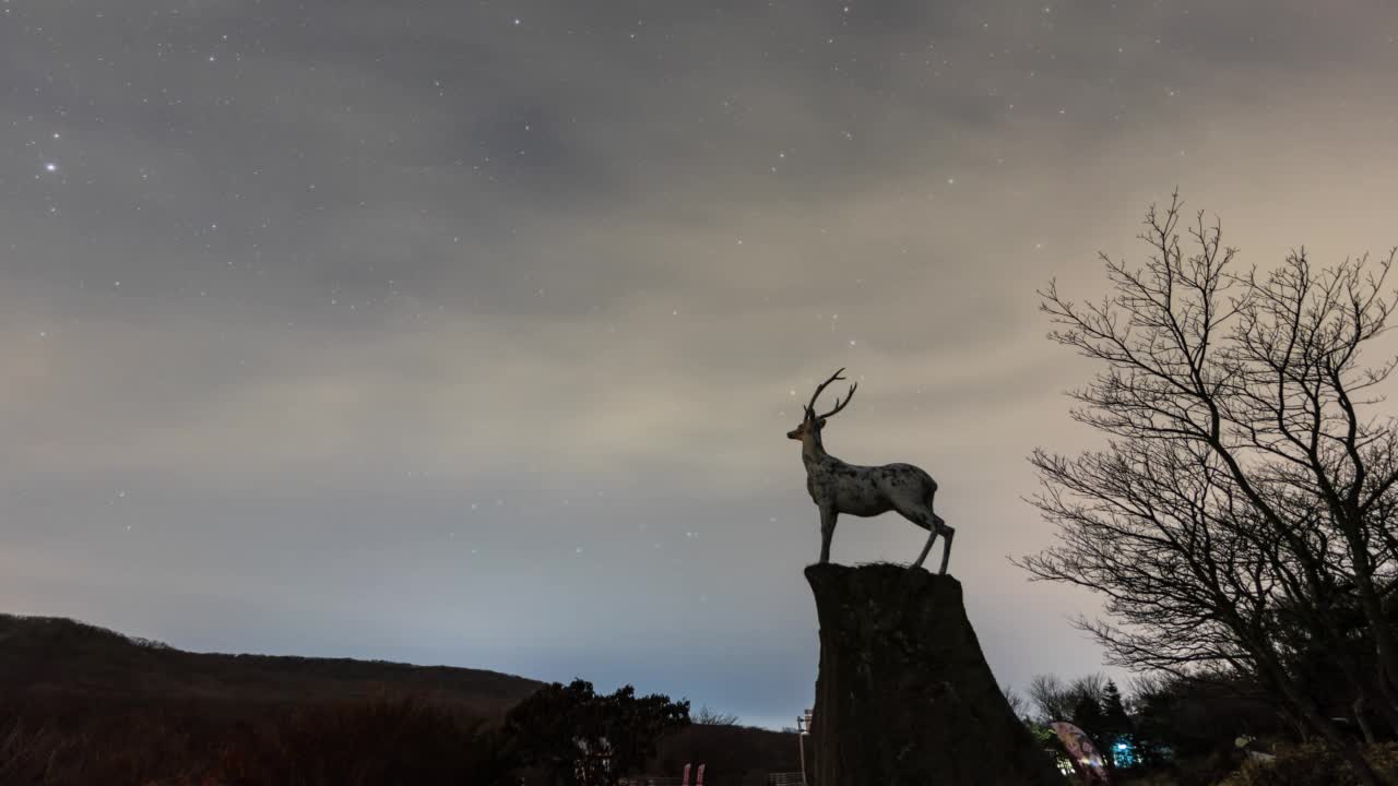 Hallasan山，1100米的休息区，夜空中的鹿和星系雕像/济州，韩国视频素材