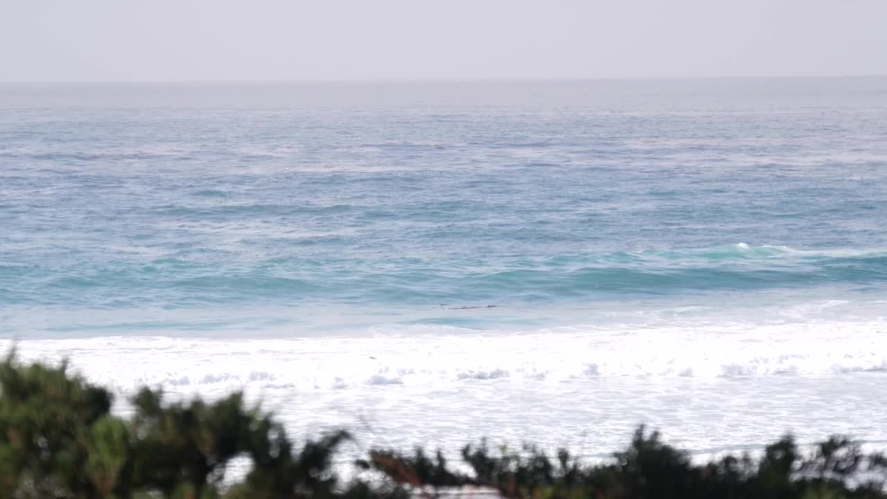 海洋沙滩，加利福尼亚海岸，海水波涛汹涌。多雾的天气。视频素材