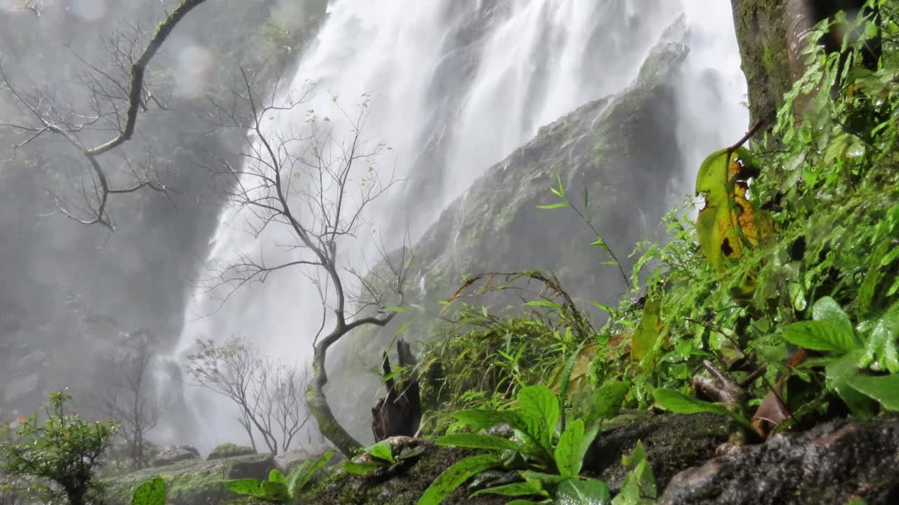 热带雨林中的瀑布视频素材