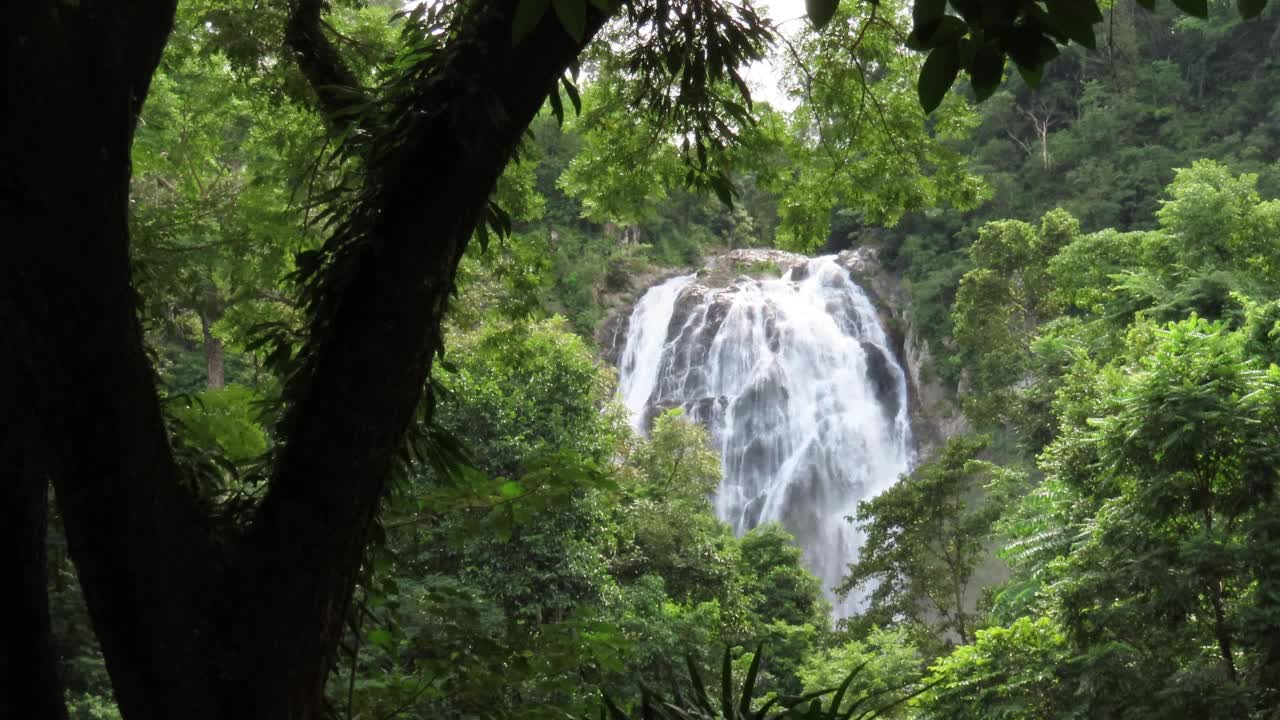 热带雨林中的瀑布视频素材