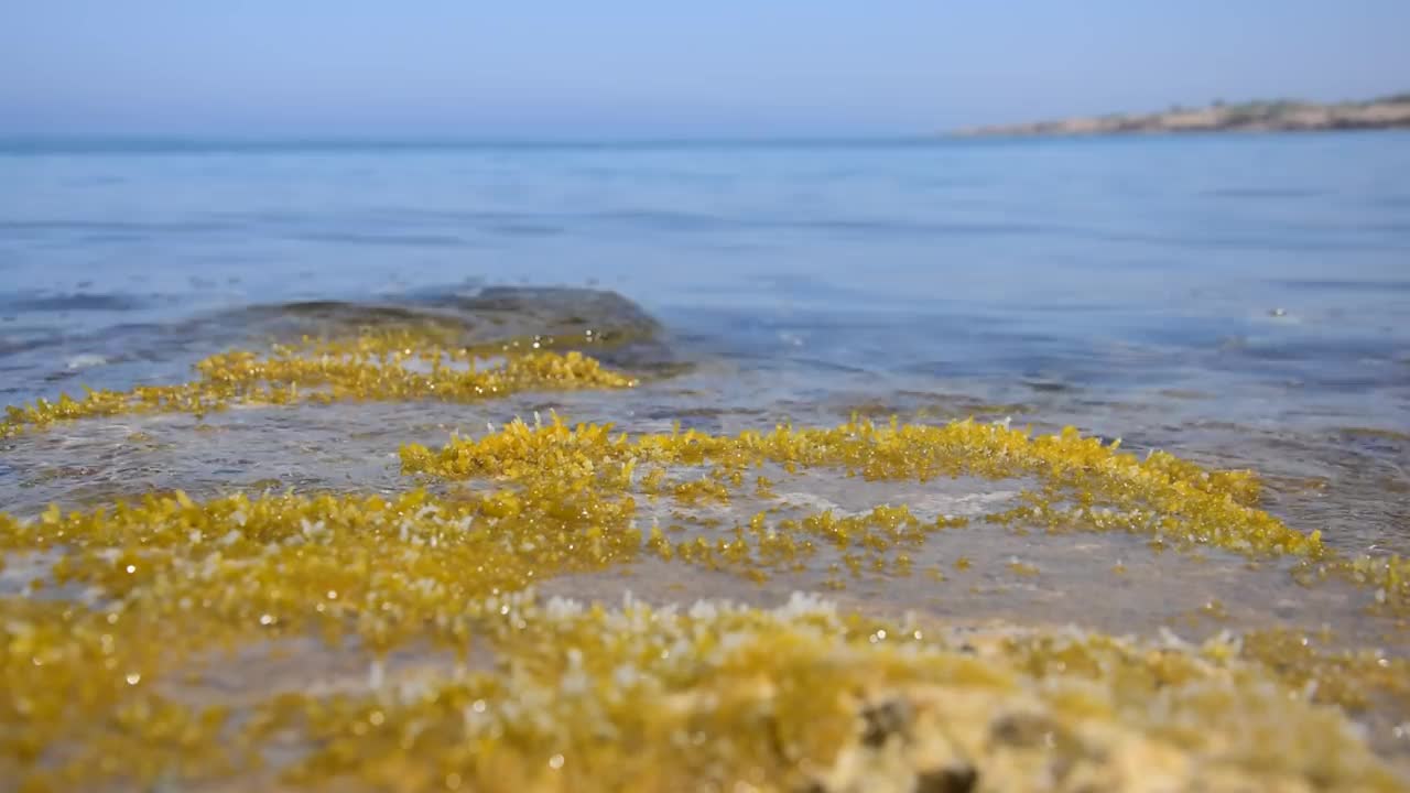 大海的风景视频素材