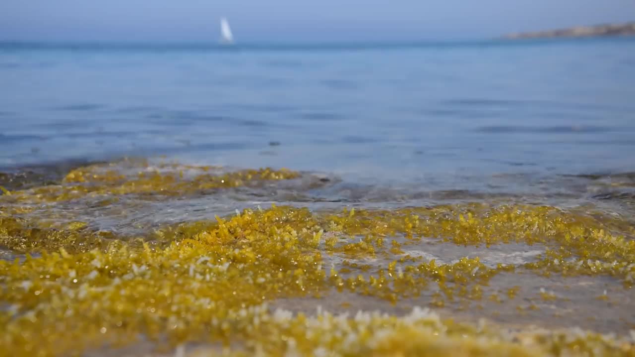 大海的风景视频素材