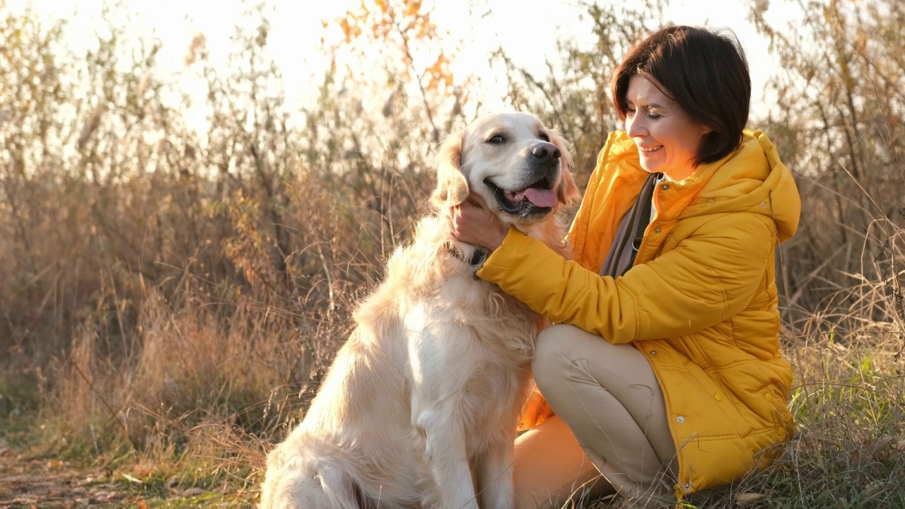 日落时分，女孩带着金毛猎犬视频素材