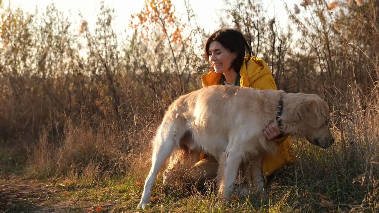 日落时分，女孩带着金毛猎犬视频素材