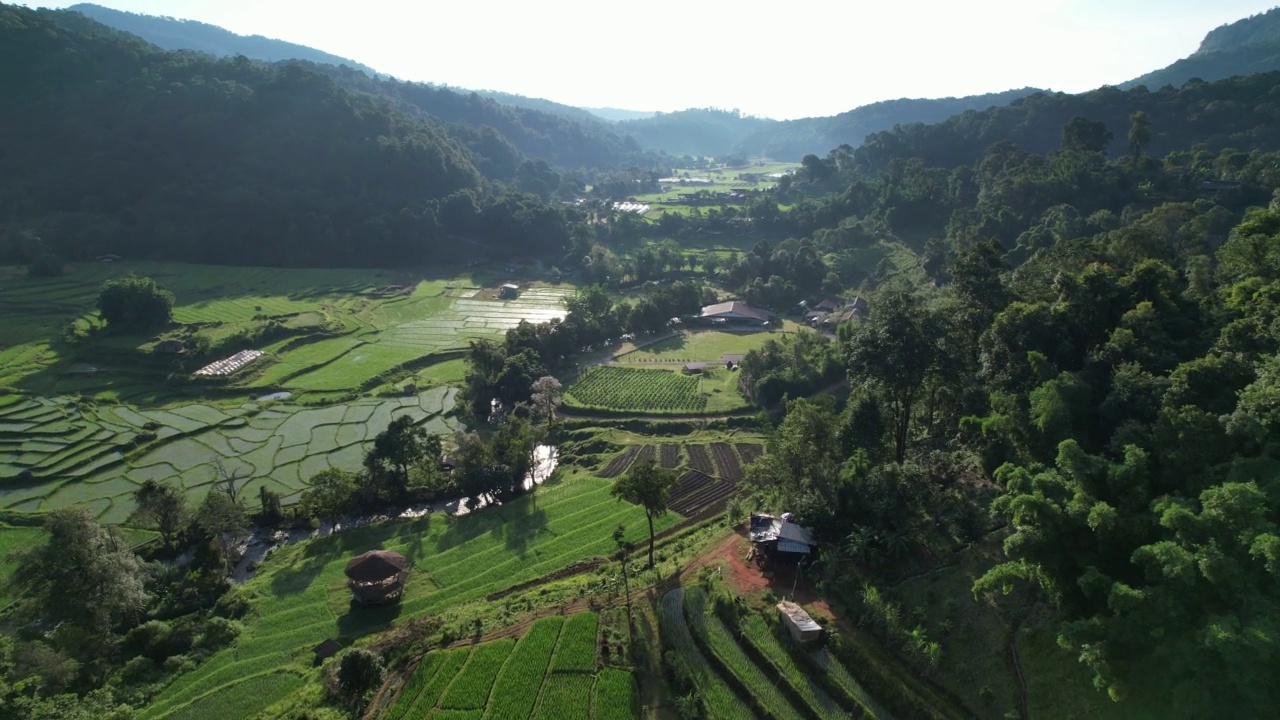 无人机鸟瞰泰国北部的梯田和山景视频素材