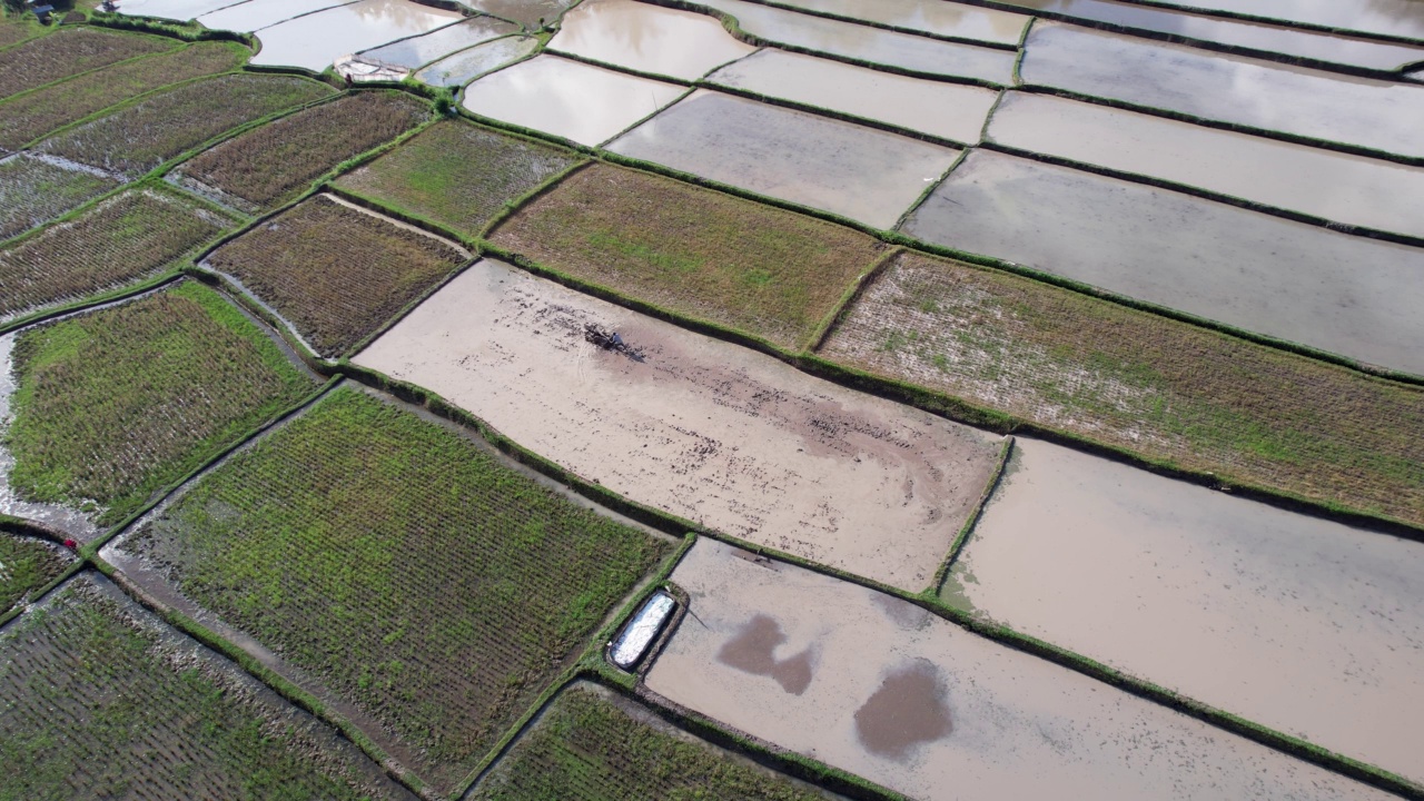 被洪水淹没的田地，收获着作物残留物，水坑里充满了水视频素材