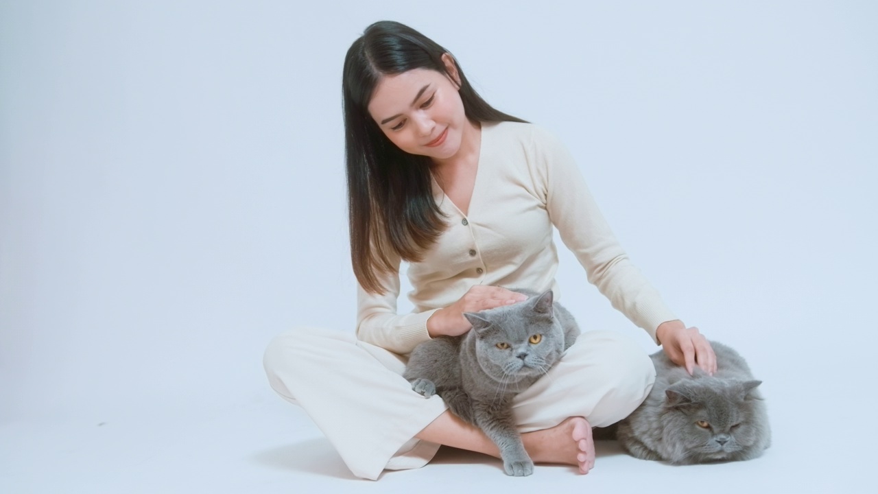 一名年轻女子抱着一只可爱的小猫，在白色背景的画室里和小猫玩耍视频下载