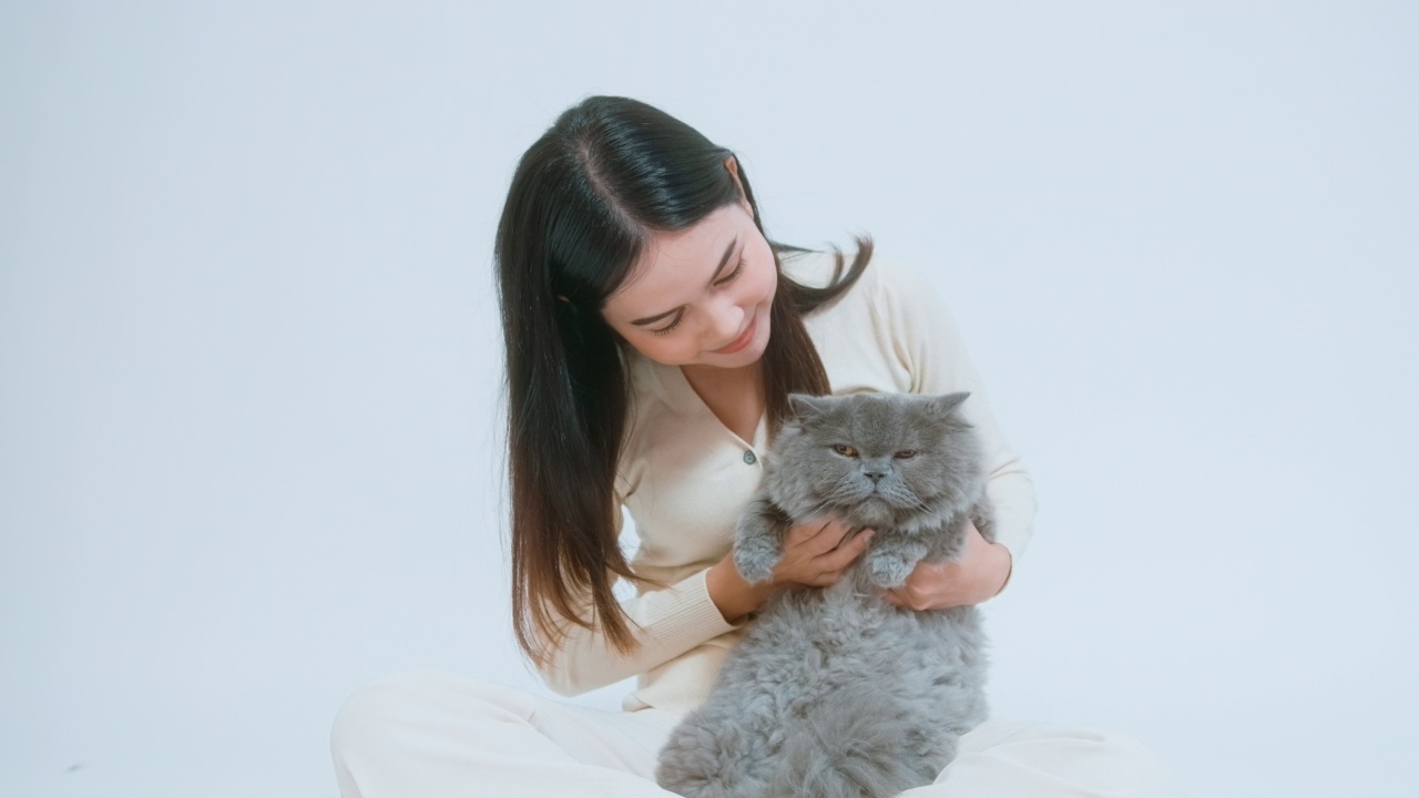 一名年轻女子抱着一只可爱的小猫，在白色背景的画室里和小猫玩耍视频下载