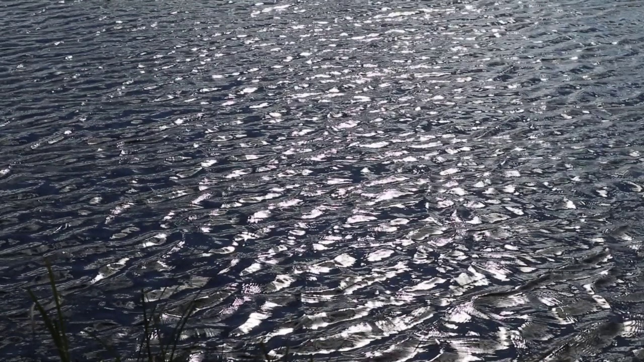 阳光在水面上闪闪发光视频素材