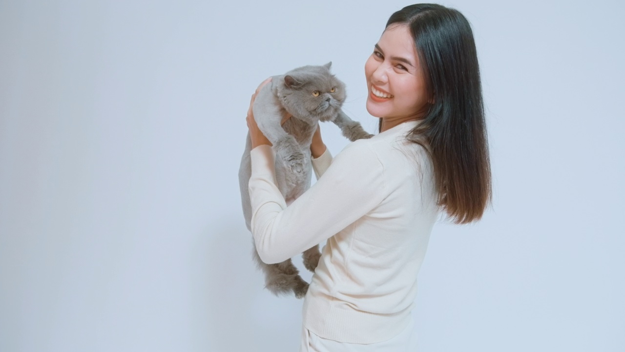 一名年轻女子抱着一只可爱的小猫，在白色背景的画室里和小猫玩耍视频素材