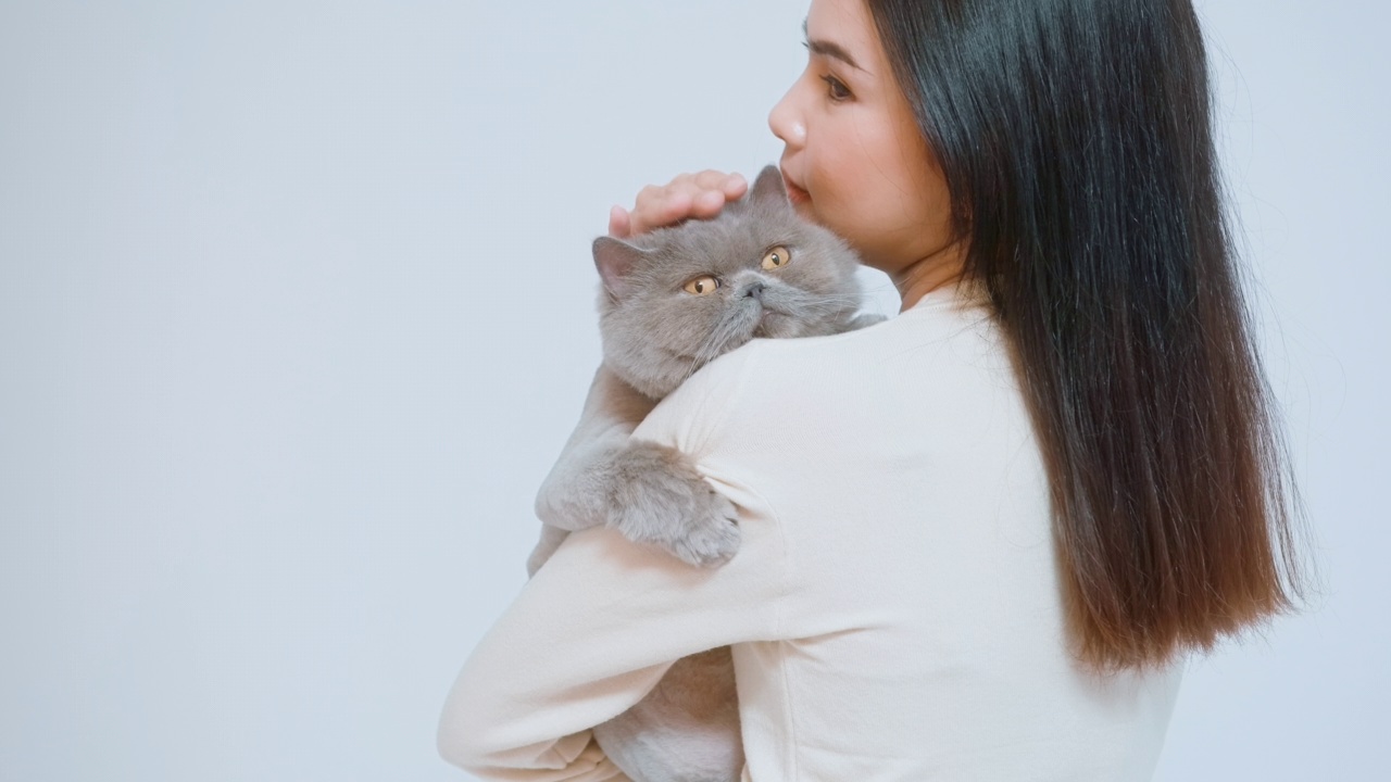 一名年轻女子抱着一只可爱的小猫，在白色背景的画室里和小猫玩耍视频下载