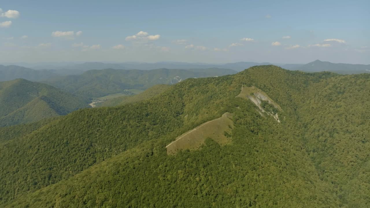 无人机4k镜头。森林生长在悬崖的斜坡上。绿色的树木。山。野生动物。山景观视频素材