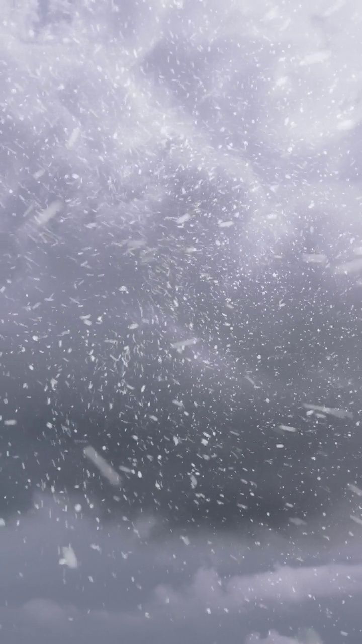 雪花在暴风雨中飘落的垂直视频视图视频素材