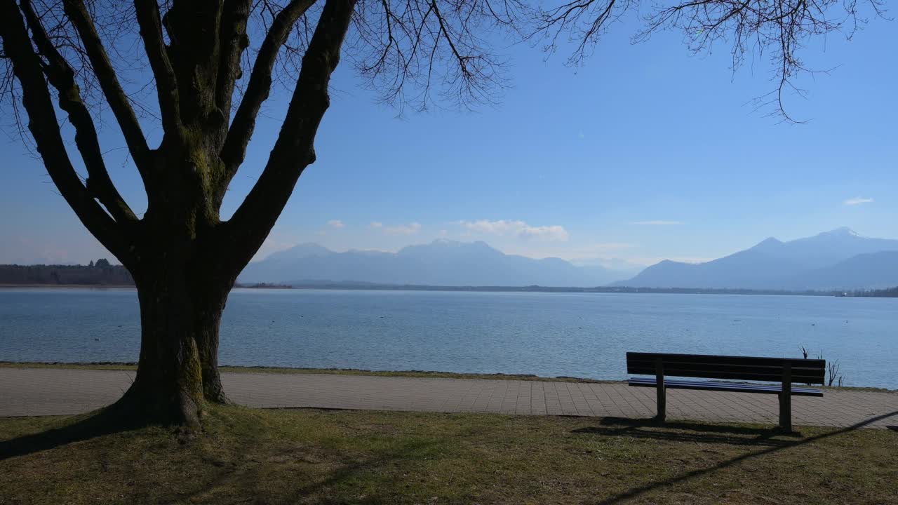 Ciemsee湖，树和长凳，Prien am Chiemsee, Chiemsee，上巴伐利亚，巴伐利亚，德国，欧洲视频素材