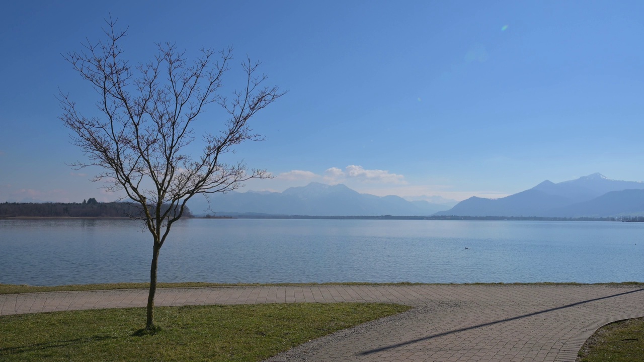 树与岸边的路，Prien am Chiemsee, Chiemsee，上巴伐利亚，巴伐利亚，德国，欧洲视频素材