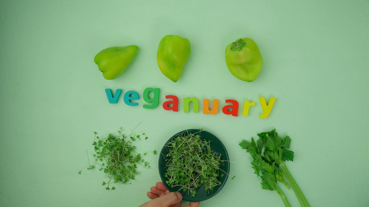 单词Veganuary来自绿色背景上有字母的木块。以植物为基础的健康营养理念，Veganuary视频素材