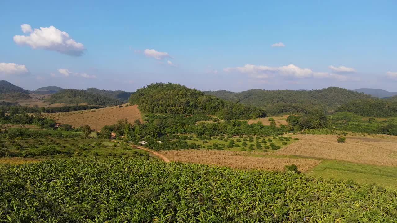 无人机俯瞰高山农田。视频素材