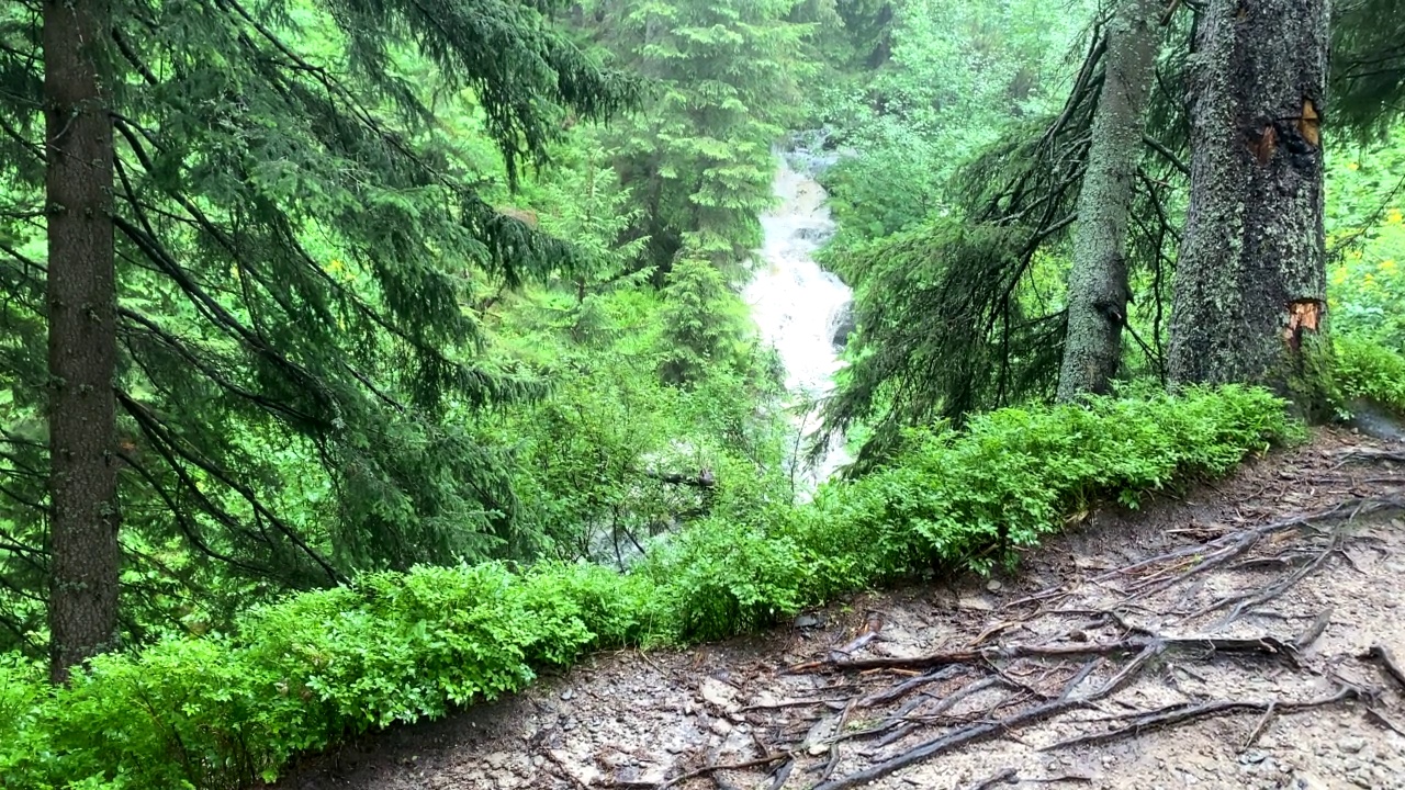 背景中穿着黄色雨衣的女人经过瀑布视频素材