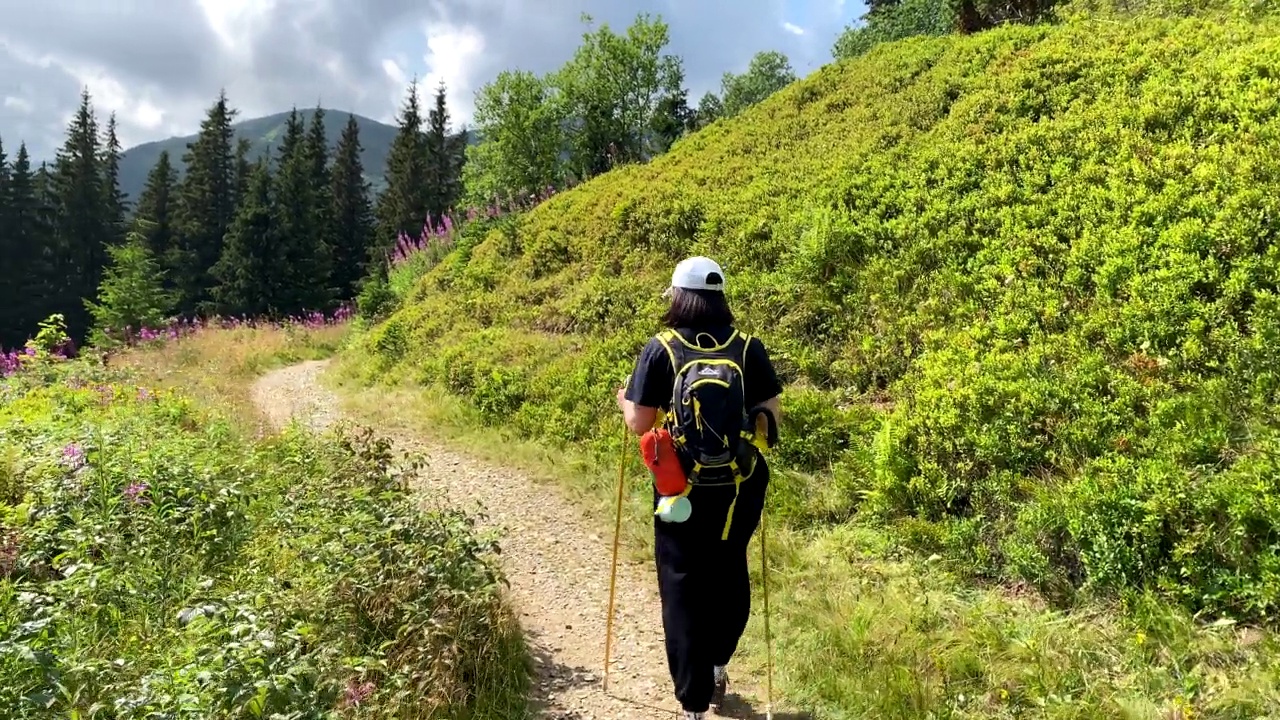 在喀尔巴阡山小径上背着背包的女子徒步旅行者视频素材