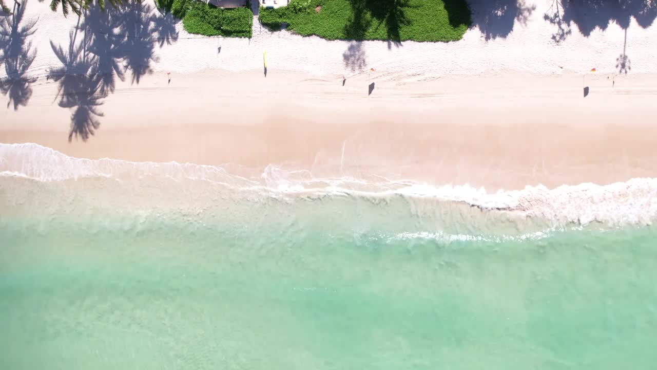 俯瞰海滩夏季背景。椰子树岛的天堂。视频素材