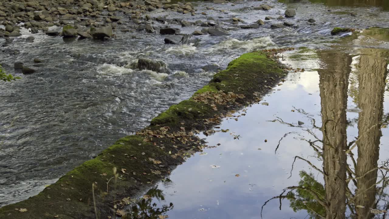 秋日里流过石头的小河视频素材