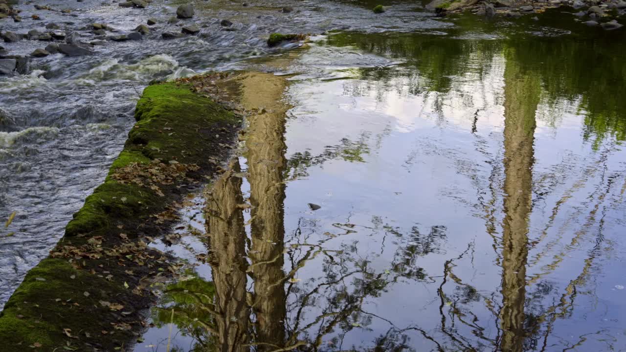 秋日里流过石头的小溪视频素材