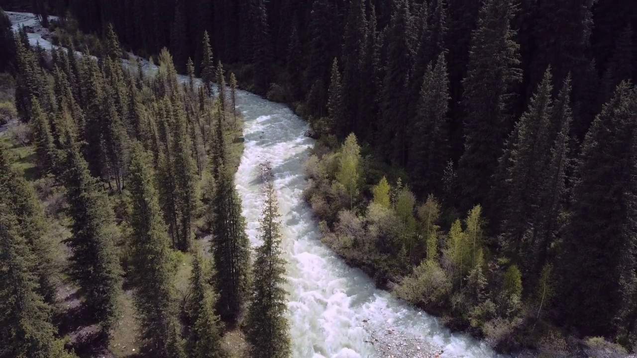 鸟瞰图，卡拉科尔峡谷森林中的山河视频素材