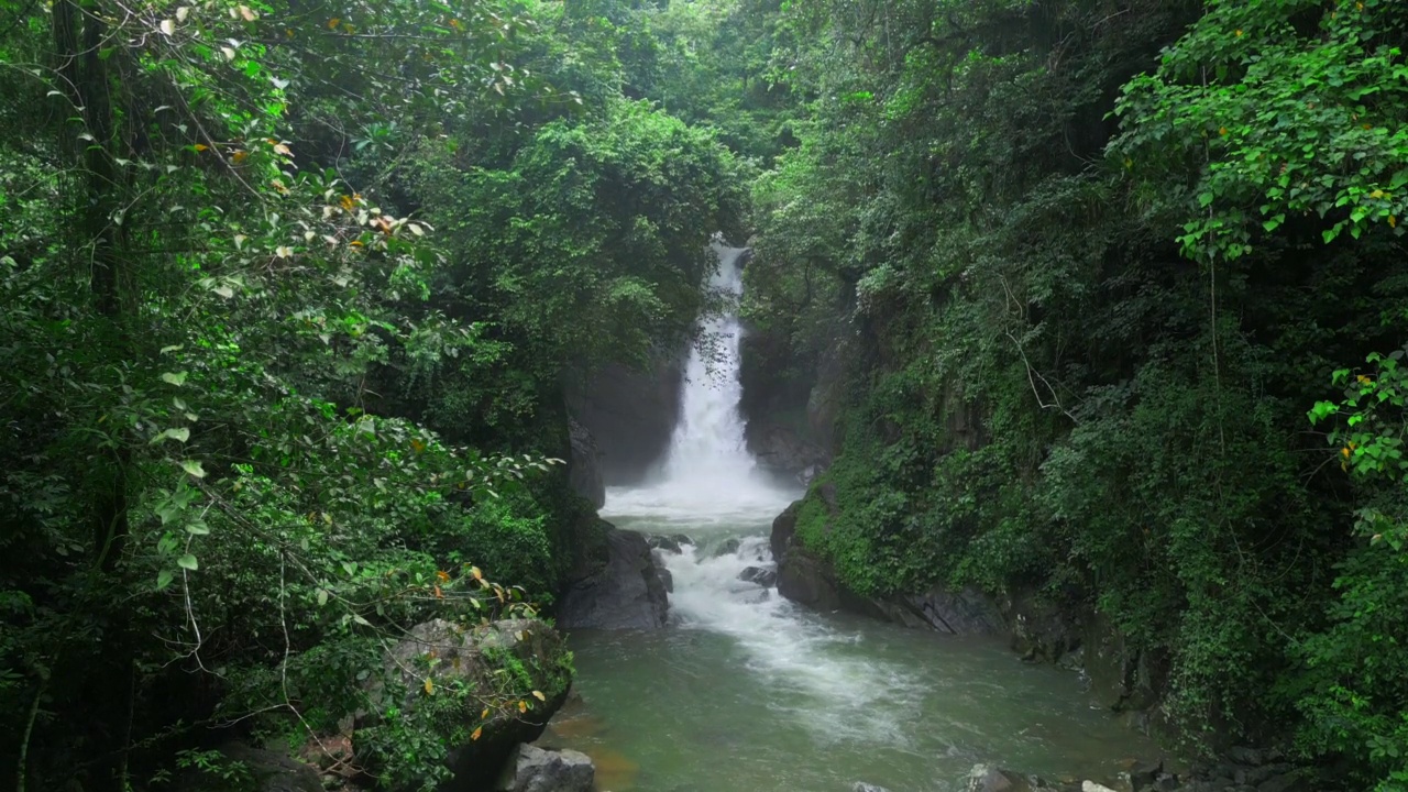 风景如画的Jima瀑布，多米尼加共和国。美丽的瀑布在热带雨林中被郁郁葱葱的树木包围视频素材