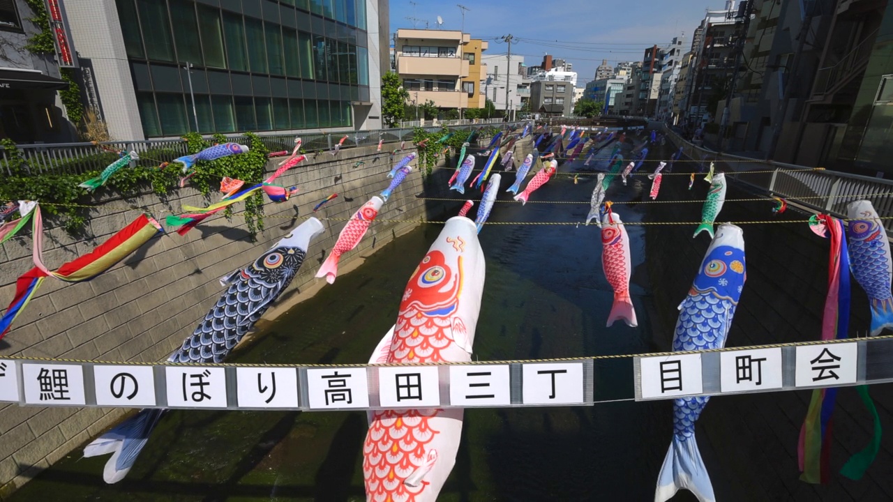 在日本东京新宿高田桥的儿童节，小inobori鲤鱼飘带在风中飘过神田河视频素材