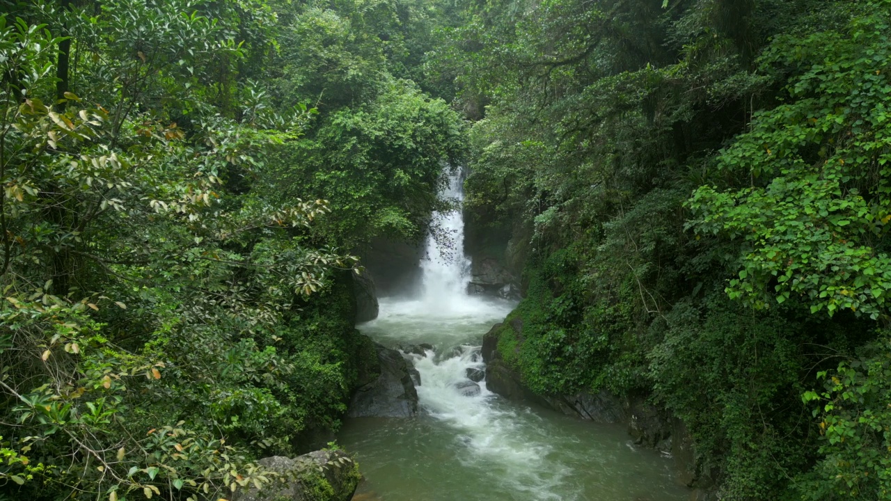 风景如画的Jima瀑布，多米尼加共和国。美丽的瀑布在热带雨林中被郁郁葱葱的树木包围视频素材