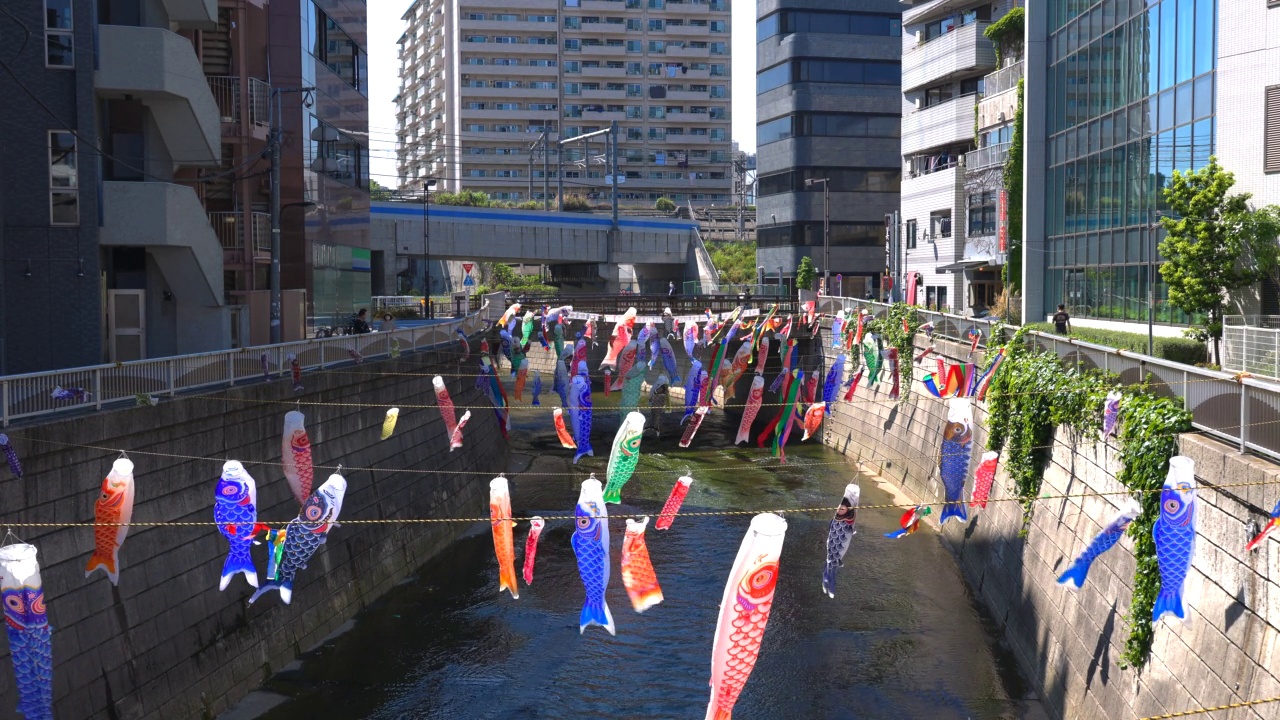 在日本东京新宿高田桥的儿童节，小inobori鲤鱼飘带在风中飘过神田河视频素材