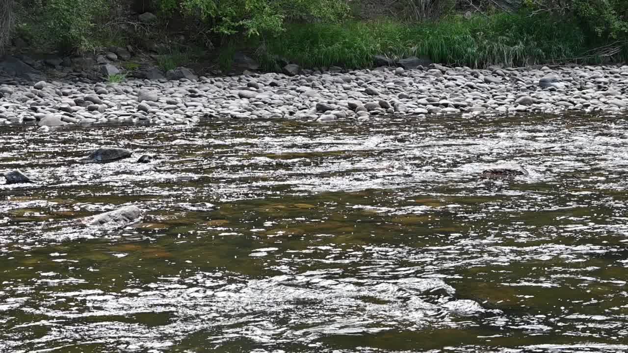 小溪经过岩岸视频素材