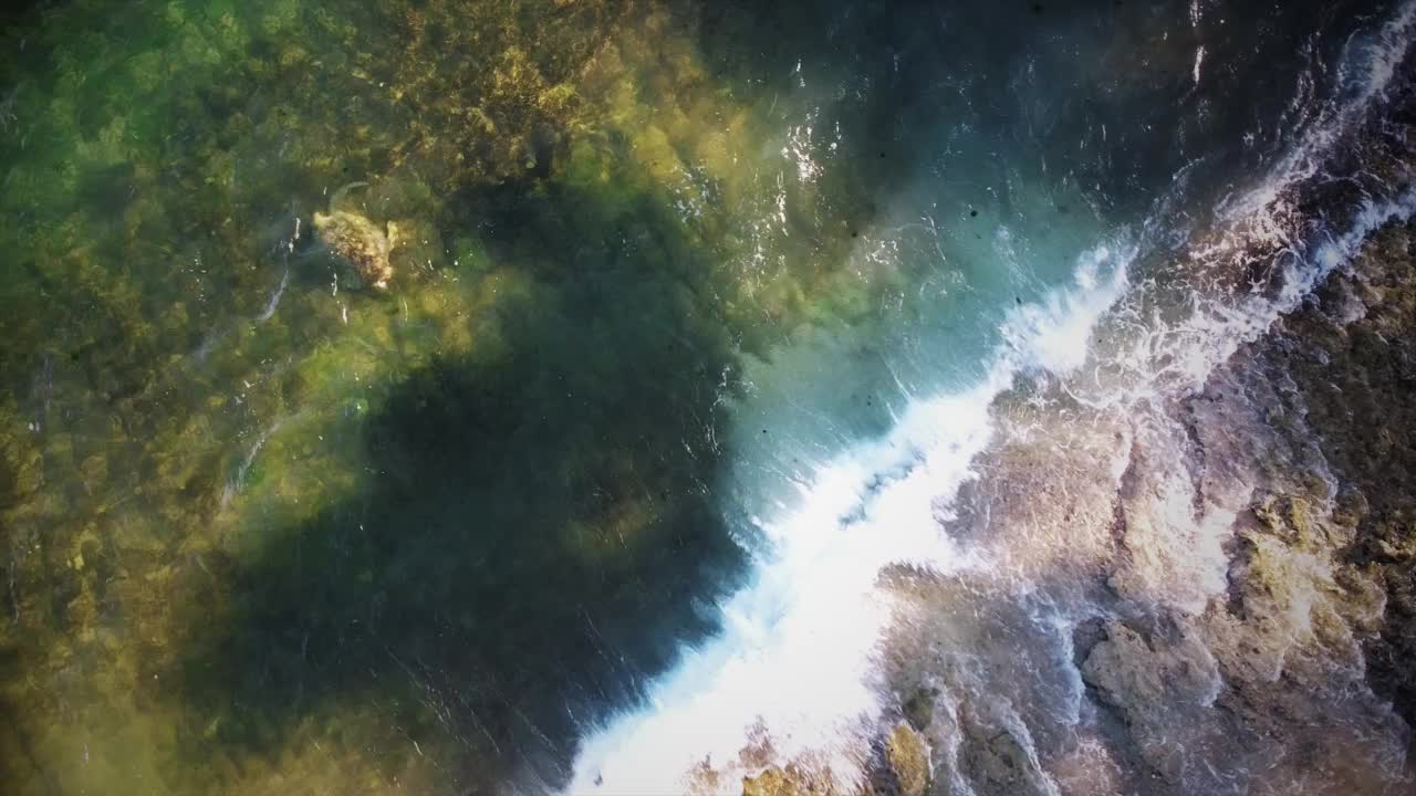 夏威夷的海龟视频素材