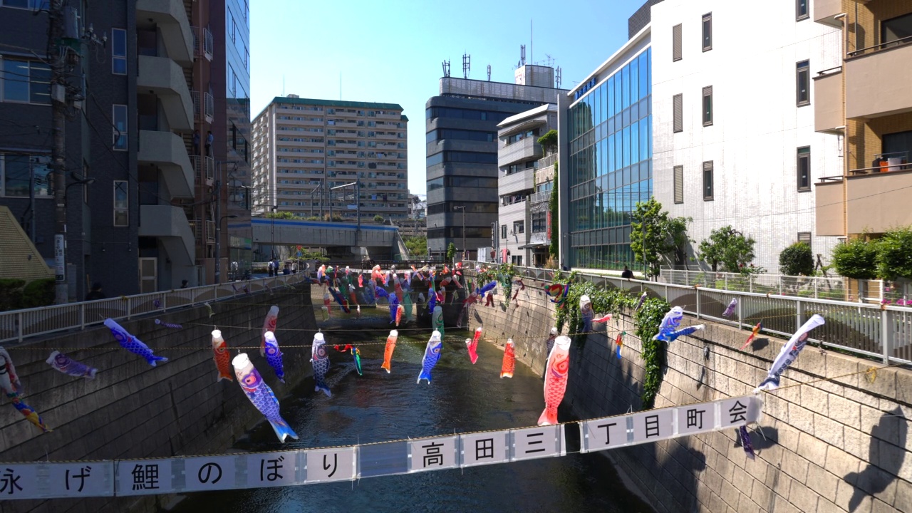 在日本东京新宿高田桥的儿童节，小inobori鲤鱼飘带在风中飘过神田河视频素材