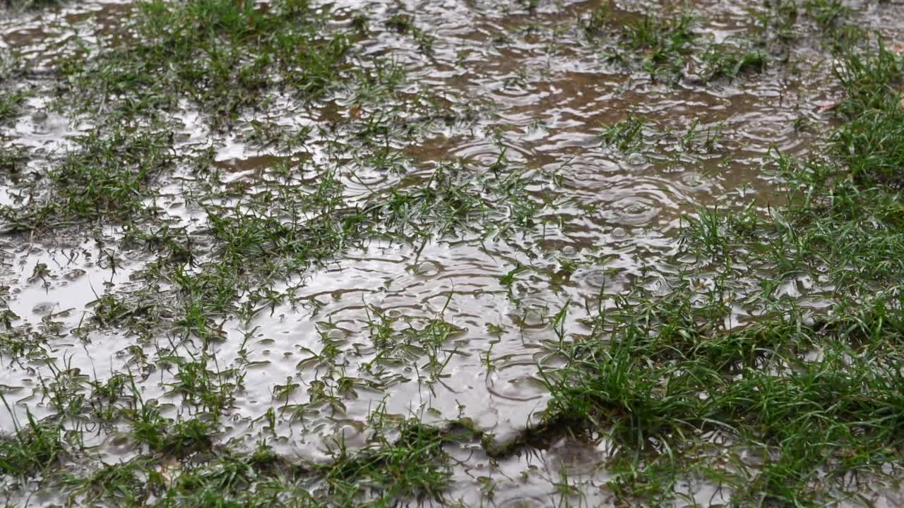 雨点溅在湖面上视频素材