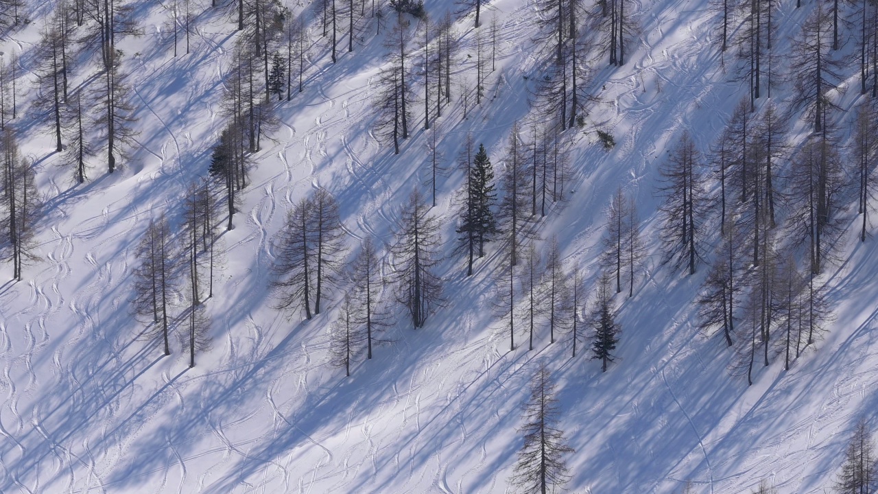 Mountain forest with ski tracks in winter, Schönau am Königssee, Berchtesgaden National Park, Upper Bavaria, Bavaria, Germany, Europe视频素材