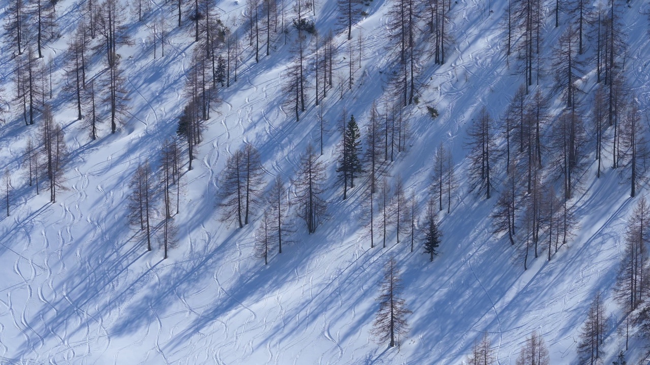 Mountain forest with ski tracks in winter, Schönau am Königssee, Berchtesgaden National Park, Upper Bavaria, Bavaria, Germany, Europe视频素材