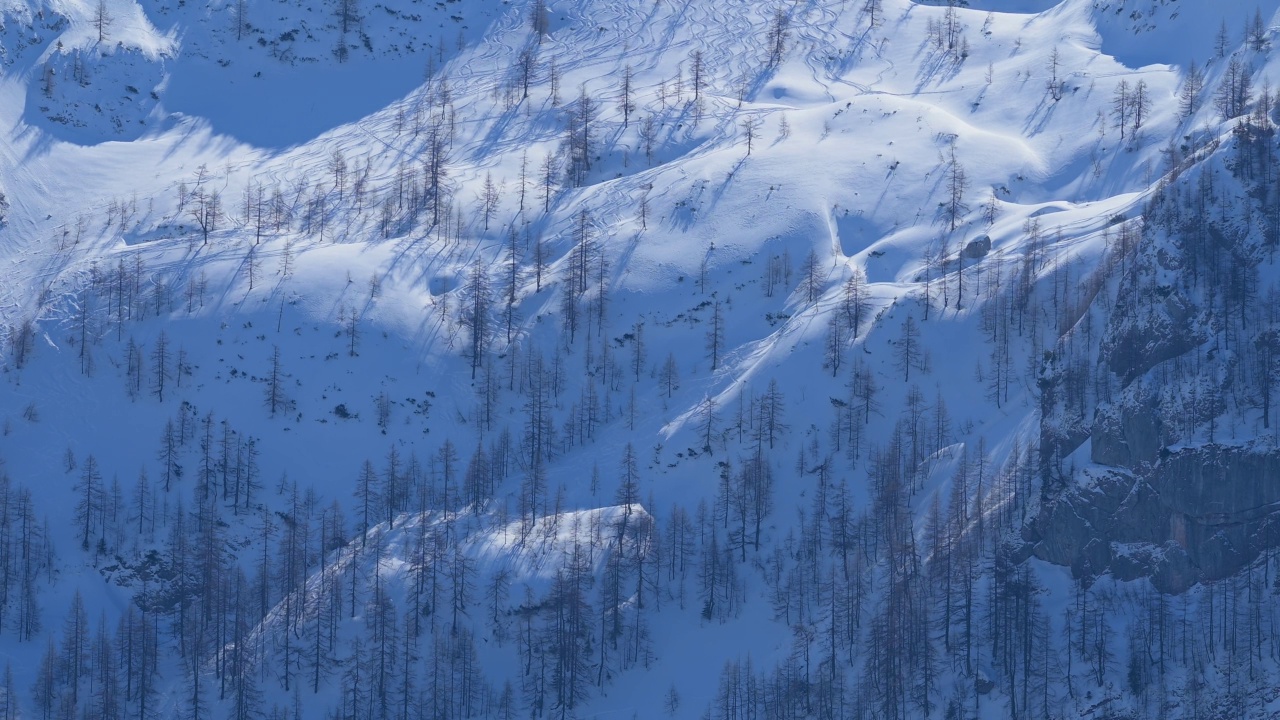 Mountain forest with ski tracks in winter, Schönau am Königssee, Berchtesgaden National Park, Upper Bavaria, Bavaria, Germany, Europe视频素材