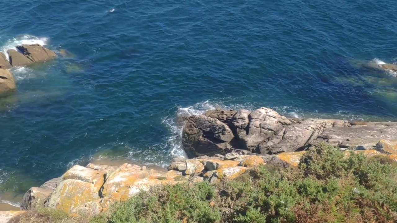 海鸟飞过悬崖视频素材