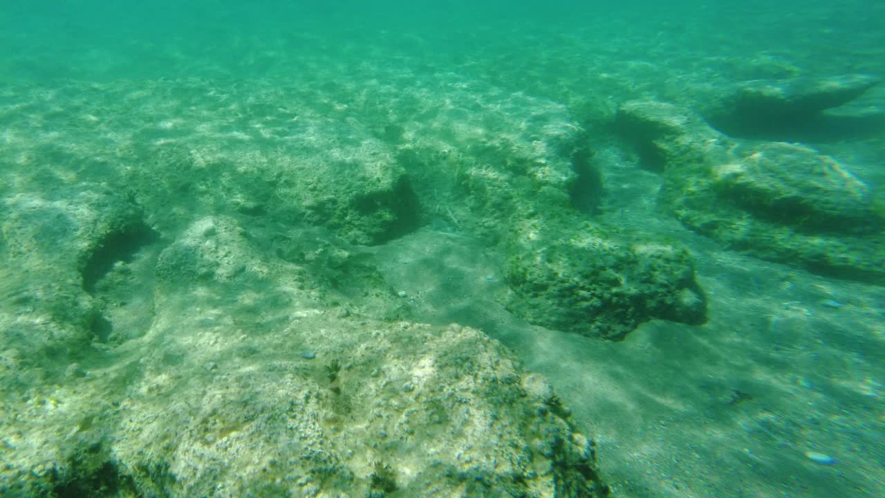 与五颜六色的鱼浮潜时海床的美丽景色。希腊。视频素材