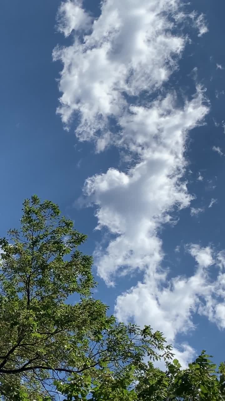 多云的蓝天有风的后院树木运动微风自然吹的天气晴天春风视频树叶背景云微风垂直背景视频素材