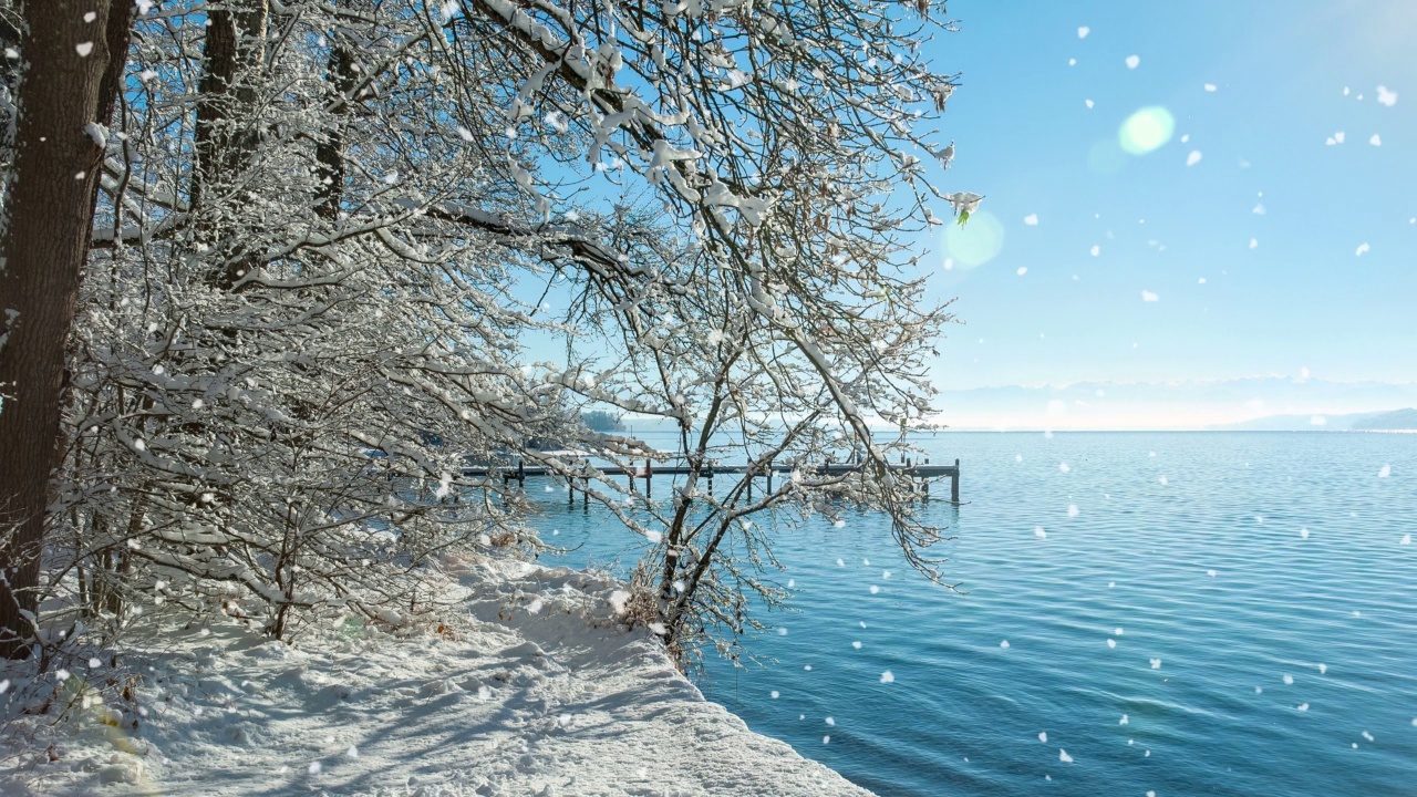 冬天湖边的雪花视频素材