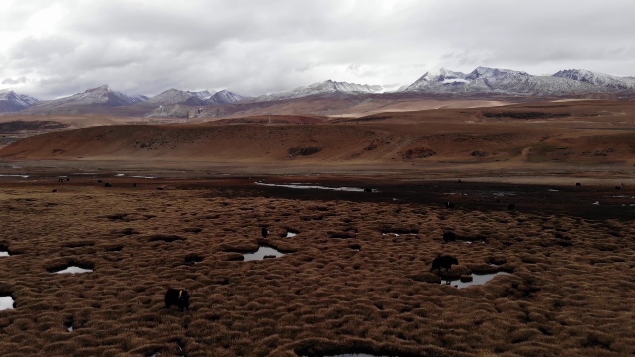 中国西藏自然风光湖，西藏风景区纳木措风光。西藏著名旅游景点的航拍。视频素材